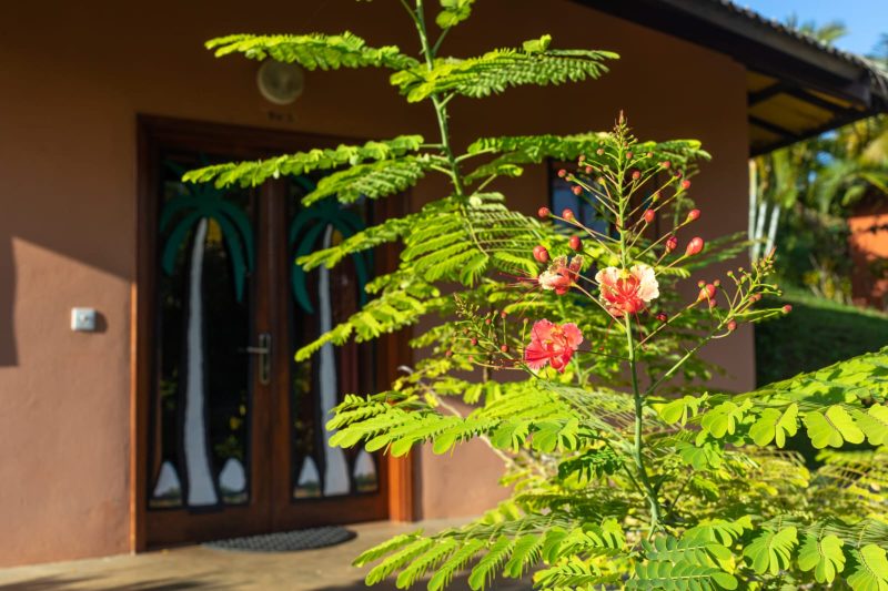 Loasis_lodge_janv2026_51